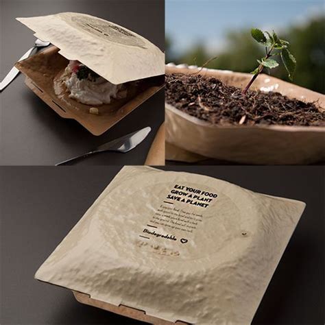 Follow. . Biodegradable packaging pdf